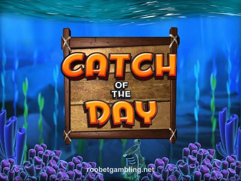 Catch of the Day